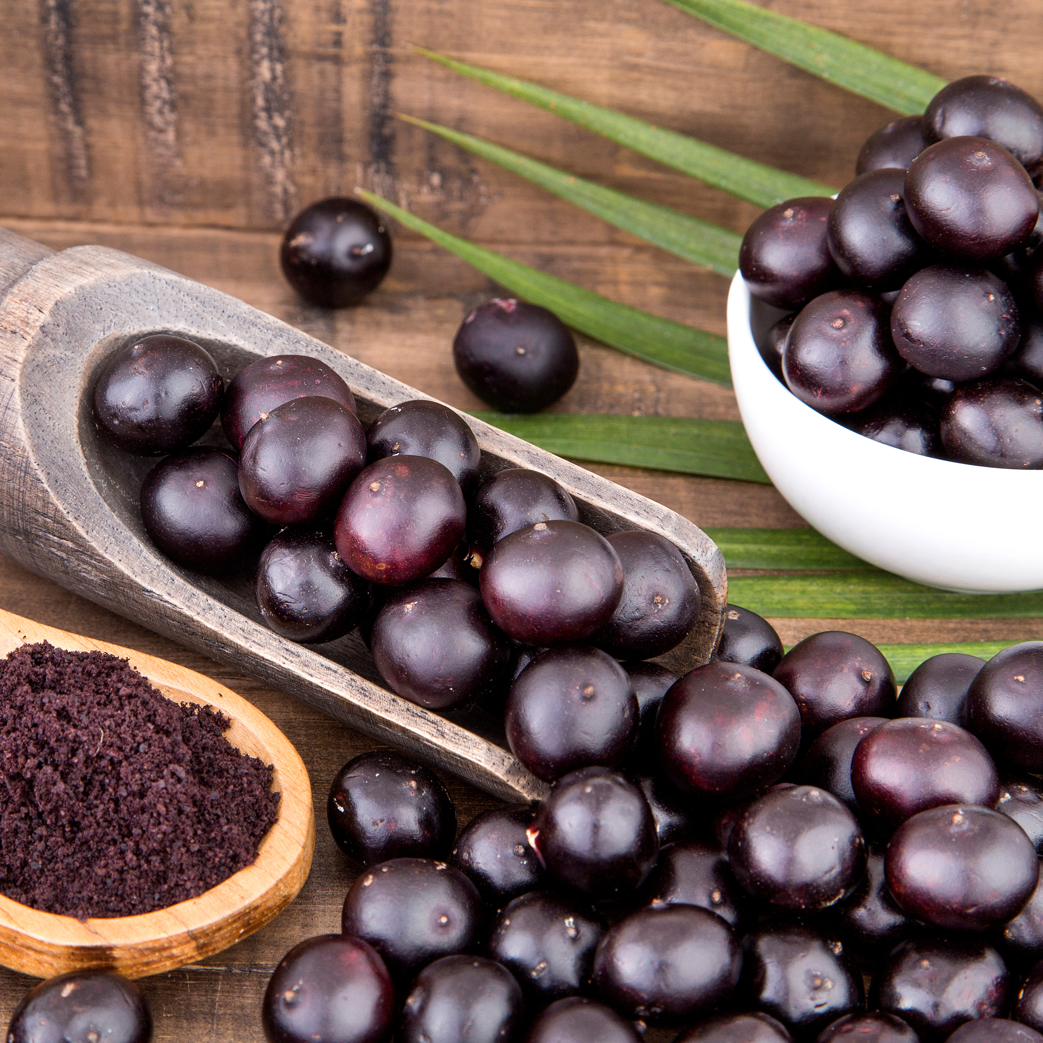 Acai powder and berries Acai-Beere | VIACTIV Krankenkasse