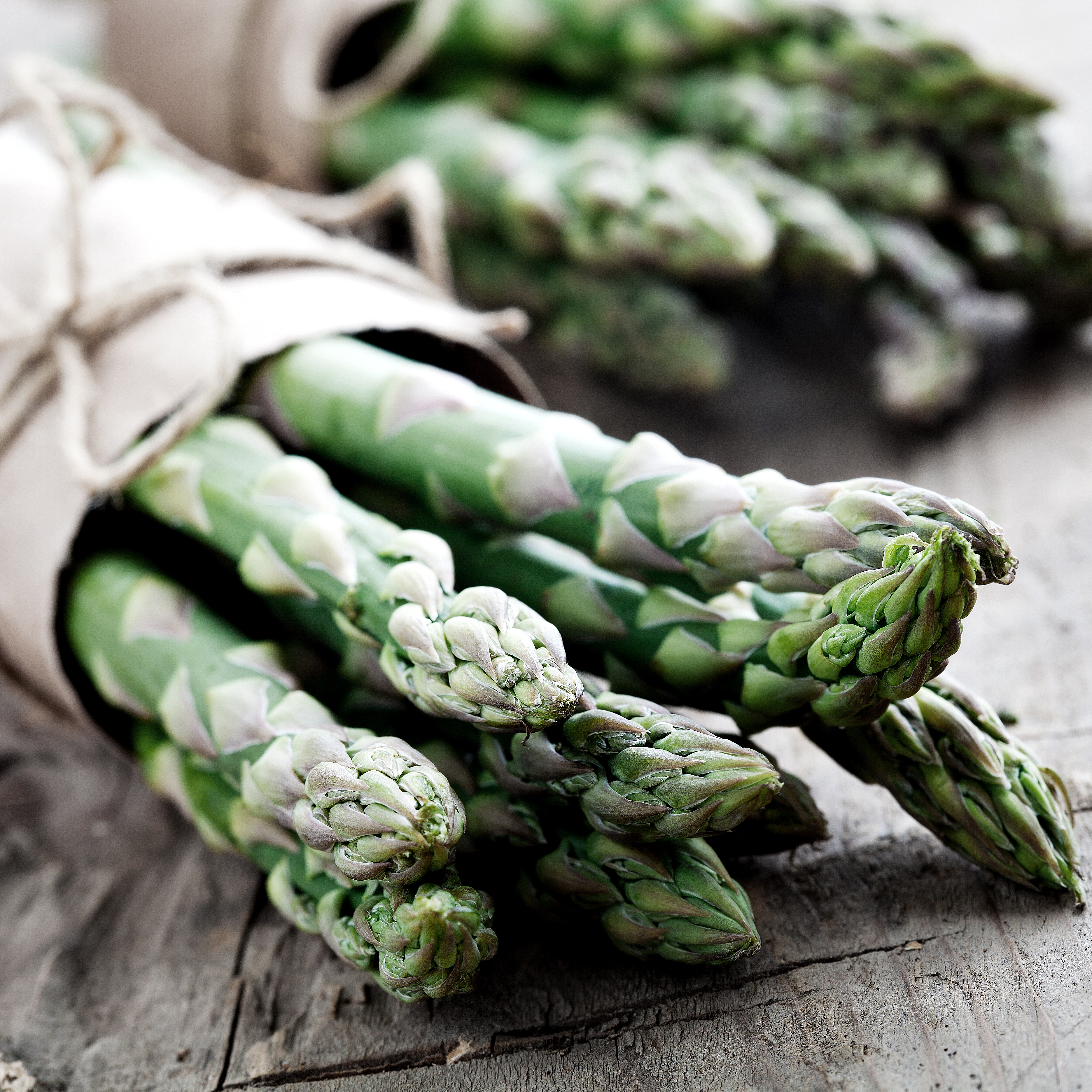 Asparagus, Viactiv-Krankenkasse-Spargel-wissenswertes | VIACTIV Krankenkasse