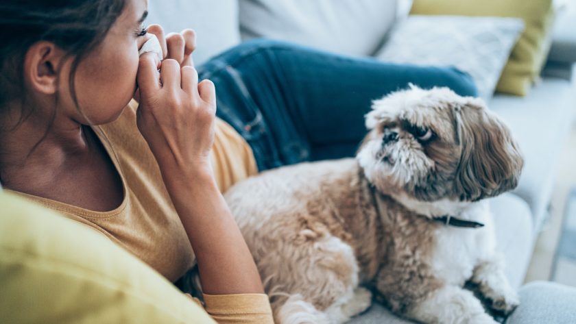 Eine Frau niest aufgrund einer Tierallergie, während ihr Hund neben ihr liegt. | VIACTIV Krankenkasse