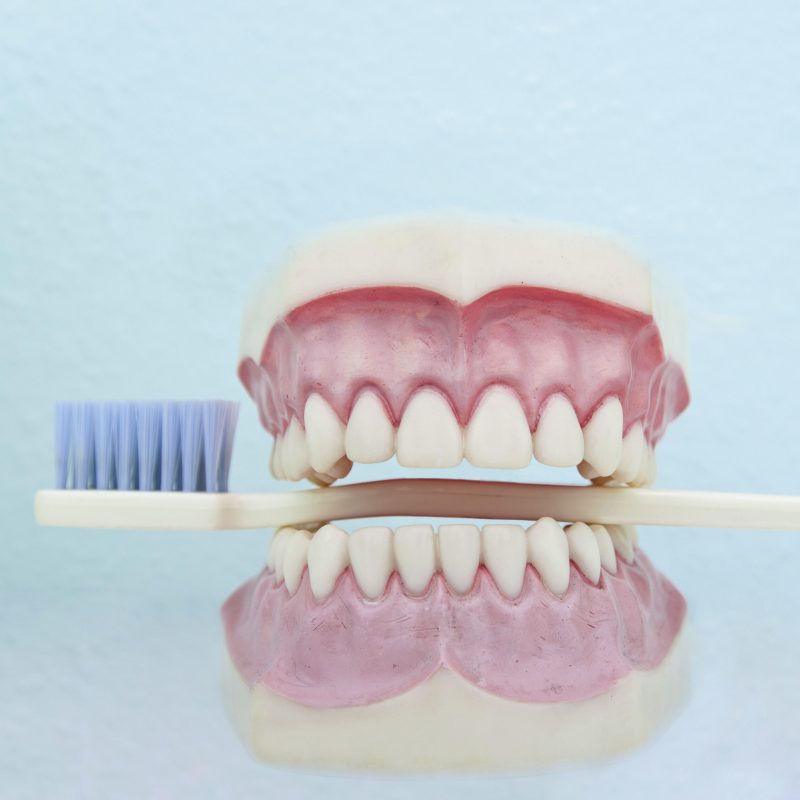Gebiss mit Zahnbürste steht symbolisch für den Ablauf einer Zahnreingigung | VIACTIV Krankenkasse